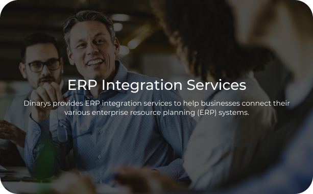 ERP Integration Services