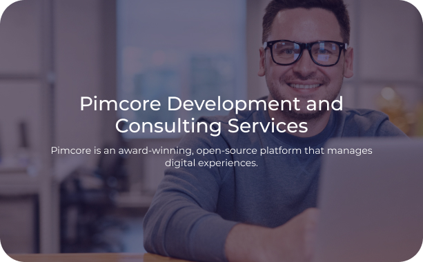 Pimcore Development and Consulting Services