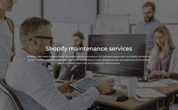 Shopify Maintenance Services